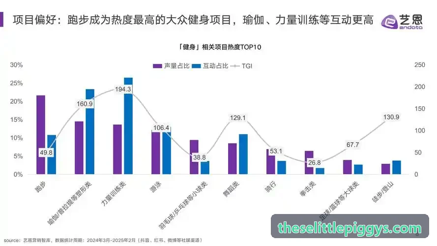 高校综合体育馆篮球联赛案例